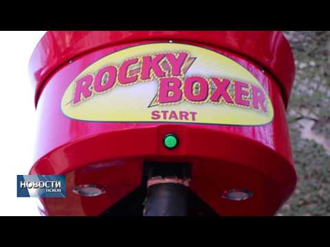 09.04.2018 # Псковский Rocky Boxer почти не приносит дохода владельцу