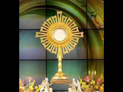 Anjos de Resgate video