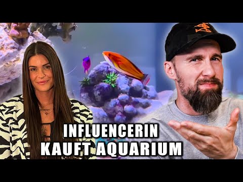 ALLES FALSCH?! Gloria Schwesingers Aussagen über Aquaristik im Faktencheck | Robert Marc Lehmann