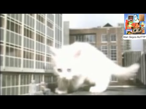 Twinkle the GIANT Cat goes on BIG Rampage
