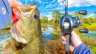 Fishing A SHALLOW Swamp FULL Of Fish (It’s Drying Up)