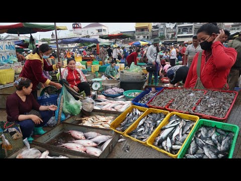 Morning Fish Market Show - Activities of Vendor Selling Crab, Snail, River Fish, Seafood & More Food