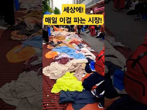 매일 천원에 이걸 파는 사장! 대단해! #폭락 #시장 #할인 #세일 #옷 #의류 #악세사리