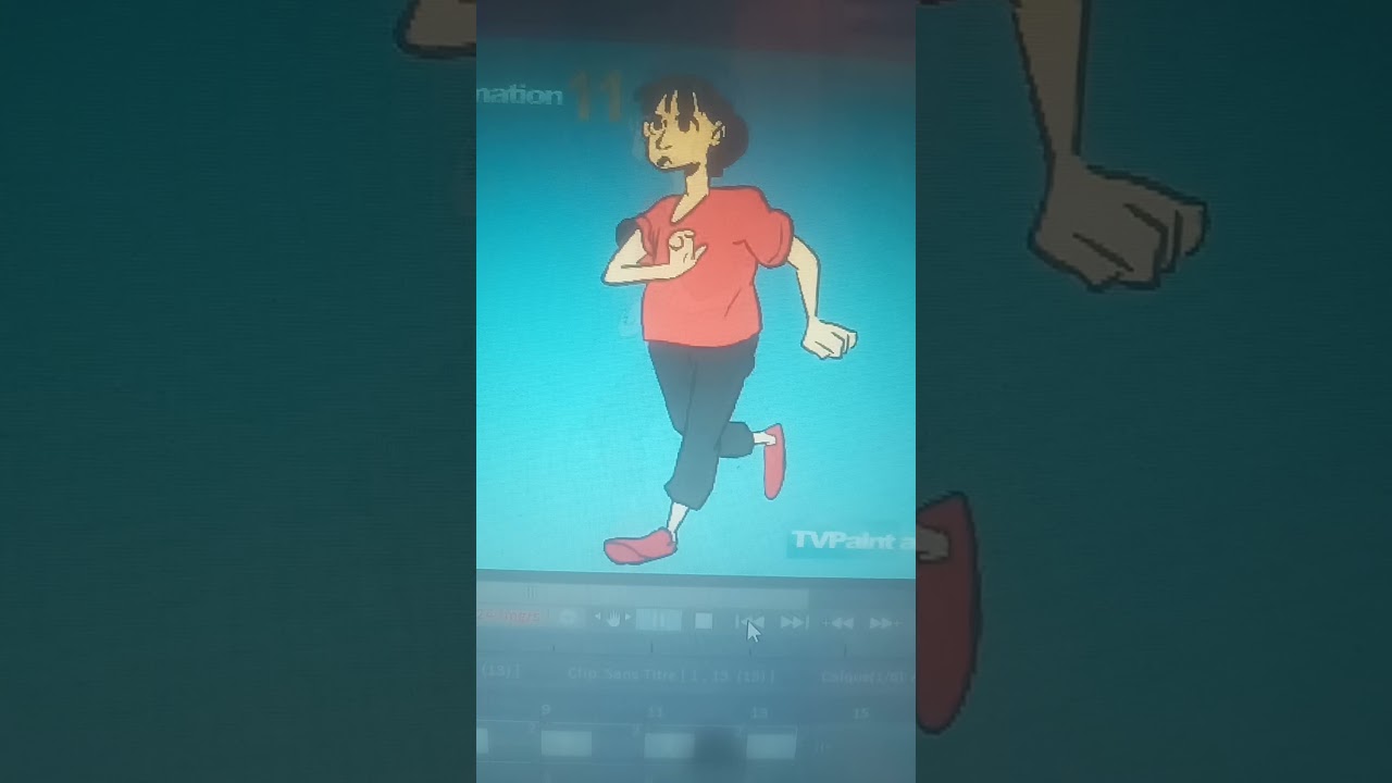 Runcycle animation (made with demo version of TV Paint