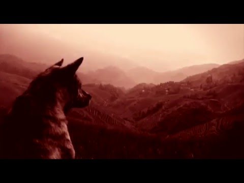 Video thumbnail for Eclissi