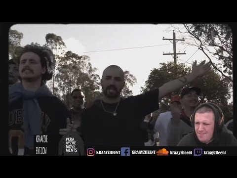 PLE$R - RUN IT UP Reaction