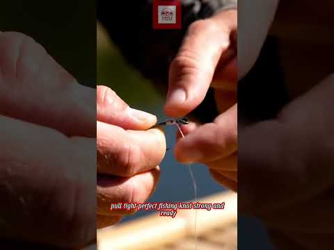 How to Tie a Hook in 8 Seconds 🪝#fishing #fishinghooks #tiehook #ytshorts