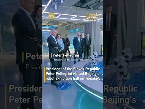 Slovak president plays basketball with robots in Beijing