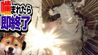 噛まれたら即終了 バイオハザードRE:4 / part401