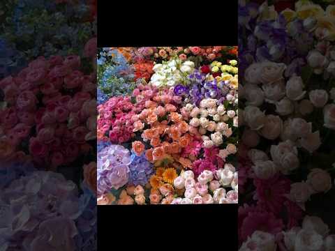flowers videos #trending #viral #trend #flower #love #viral #cute