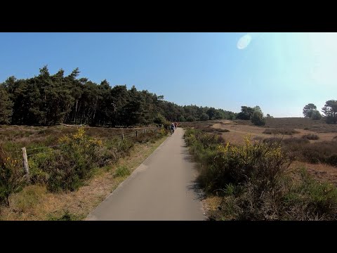 Rondje Posbank - Riding the Alpe d'Huez of the Netherlands - Indoor Cycling Training
