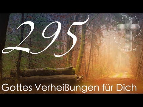 Gottes Verheißungen für Dich - Sprüche 8,35 | Videokalender 295/365 - Deutschland braucht JESUS