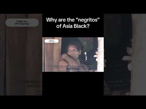 WHY ARE THERE BLACK ASIANS? #anthropology #history #genetics #negrito #southeastasia #migration