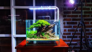 #334 Membuat Aquascape murah,budget 4nak kos kosan