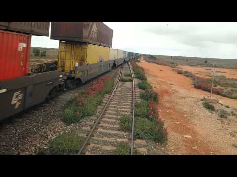 Nullabour Trains