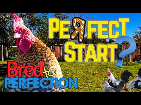 Ep135 - Perfect Starts? - Just start where you are, with what you have