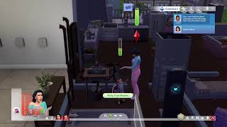 Playing sims4 rats in my apartment