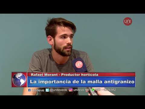 La importancia de la malla antigranizo