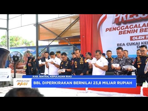 POLDA KEPRI GAGALKAN PENYELUNDUPAN BENIH BENING LOBSTER SENILAI 23,8 MILIAR