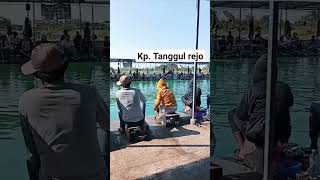 Download lagu kp tanggul rejo surabaya#mancingkolamlele#short#shortvideo mp3
