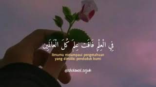 Download lagu Story wa || Sayyidah Aisyah mp3