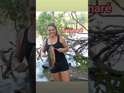 Tucunaré #peixe #fazenda #paisagem #pesca #modão #viral #shorts #tocantins #brasil