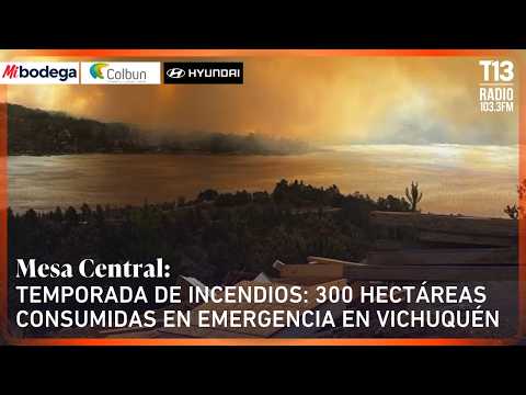 Temporada de incendios: 300 hectáreas consumidas en emergencia en Vichuquén