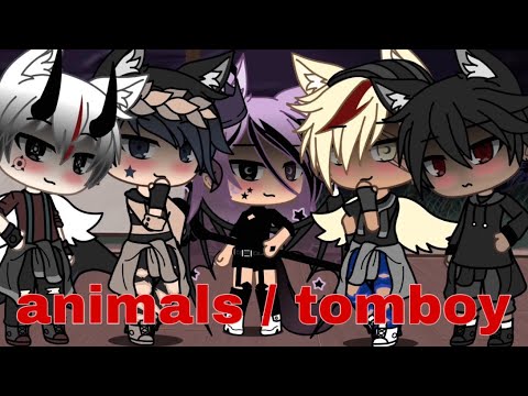 Animals / tomboy glmv