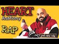 Heart Anatomy Rap 🎵 | How Blood Flows Through the Heart | Atrium & Ventricles & More!