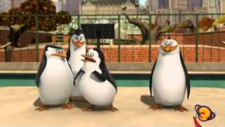 Penguins want a girl worth fighting for