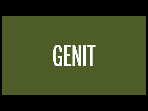 Tipe-X - Genit (Lyrics) HQ Audio