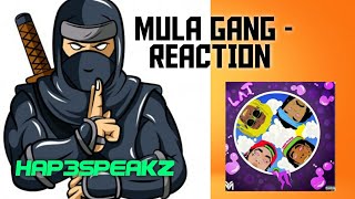 🔥 BRITISH REACTION to &quot;MULA GANG&quot; - FT. JAY JONES, HOODY BABY, EURO &amp; LIL WAYNE | HAP3SPEAKZ