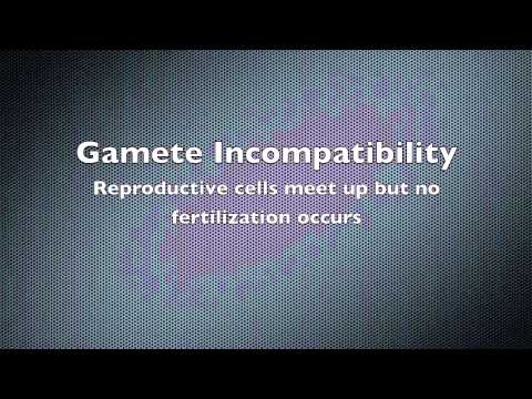 Pre and Post Zygotic Barriers