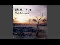Black Tulips