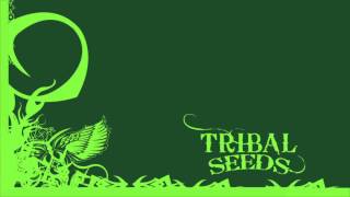 Tribal Seeds - Dark Angel [OFFICIAL AUDIO]