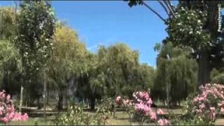 Camping U Sommalu - Camping Corse du Sud - Image N°2