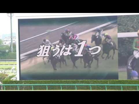 レッドアンシェル　in　 東京競馬場　at 2017.05.07. NHKマイルカップ（ＧⅠ）＃６