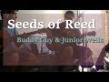 Seeds of Reed (Buddy Guy & Junior Wells Cover)