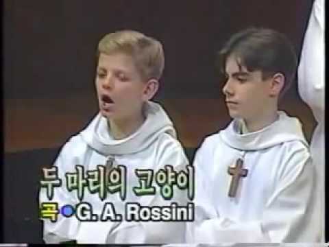 El Dueto De Los Gatos