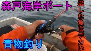 森戸海岸ボート