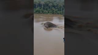 Download lagu ANEH TAPI NYATA #viralvideo #ghost #horror #mistis #trendingshorts #masukberanda mp3