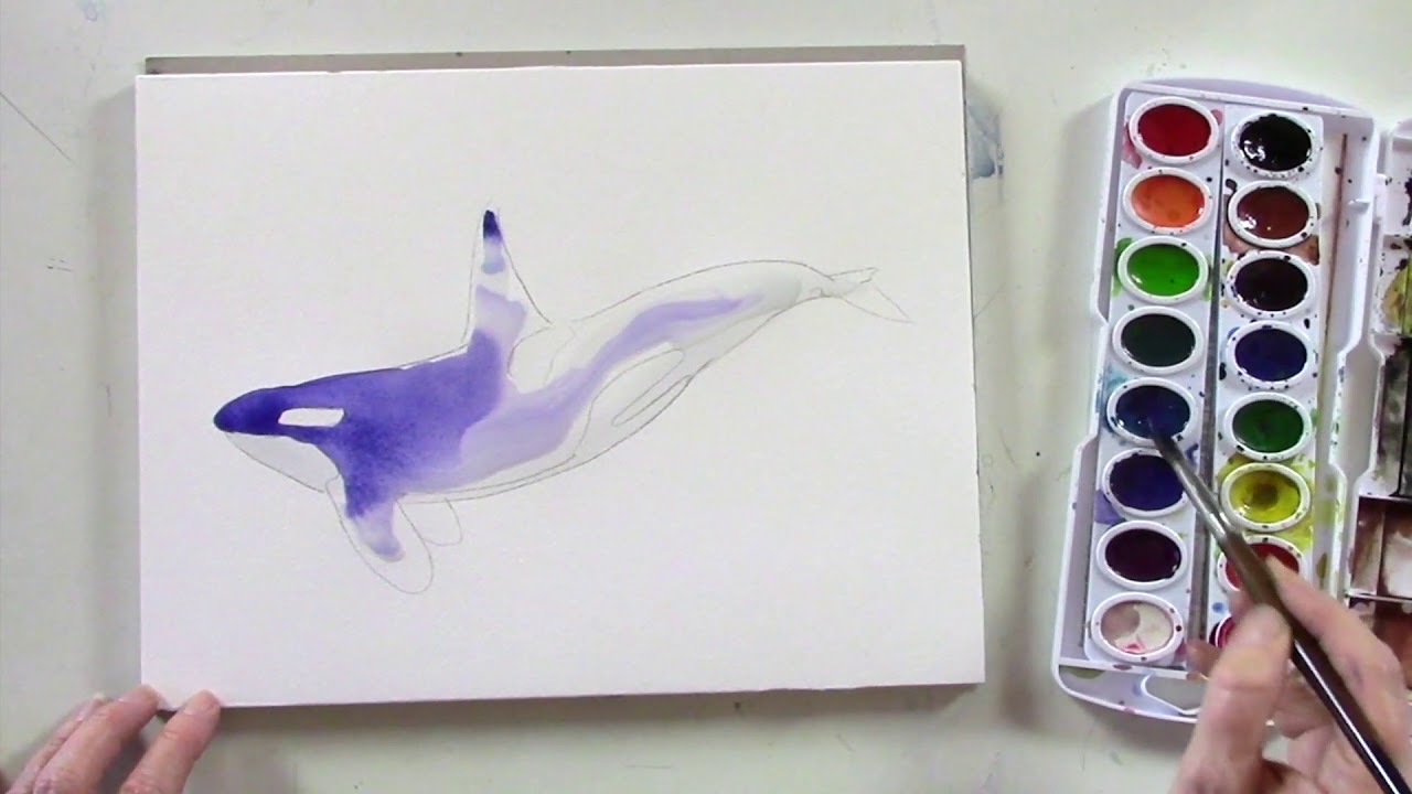Watercolor For Kids - Killer Whale (Birgit O'Connor - Watercolors)