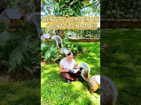 Apartamentos, Venta, Ciudad Bochalema - $209.000.000