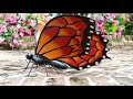 Hand-Painted Orange Metal Monarch Butterfly Outdoor Sculpture