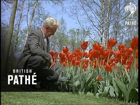 Round The World - For Fun (1964)