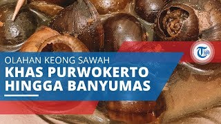 Kraca, Kuliner Tradisional yang Terbuat dari Keong Sawah khas Purwokerto