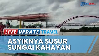 Serunya Susur Sungai Kahayan Palangkaraya, Nikmati Pemandangan Hutan Gambut hingga Bantaran Sungai
