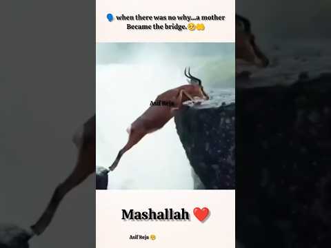 Always trust in Allah 🥺❤️ 🩹