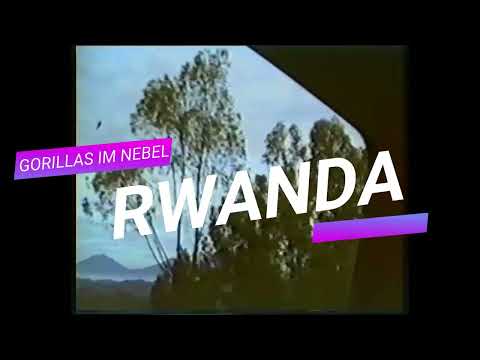 Gorillas Im Nebel - Shorts - Rwanda 1992