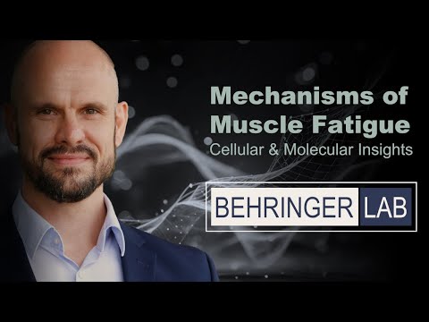 Mechanisms of Muscle Fatigue: Cellular & Molecular Insights